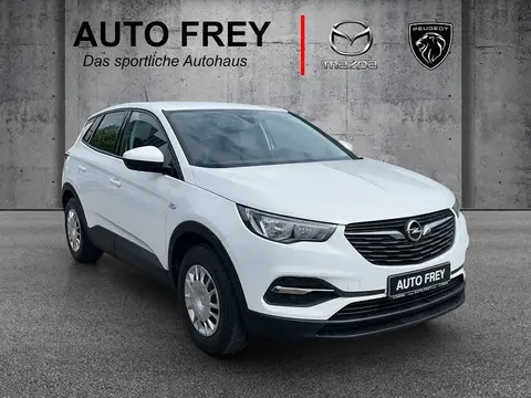 Used OPEL GRANDLAND Diesel 2019 Ad 