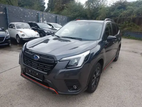 Used SUBARU FORESTER Hybrid 2024 Ad 