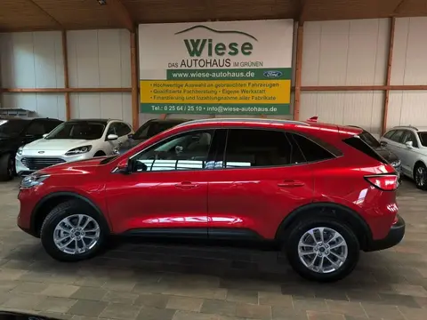 Used FORD KUGA Hybrid 2023 Ad 