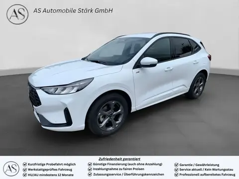 Annonce FORD KUGA Essence 2024 d'occasion 