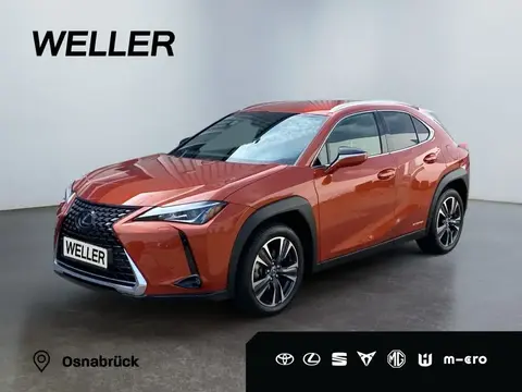 Used LEXUS UX Hybrid 2020 Ad 