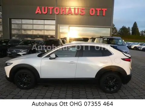 Annonce MAZDA CX-3 Diesel 2019 d'occasion 