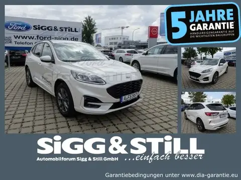 Used FORD KUGA Hybrid 2023 Ad 