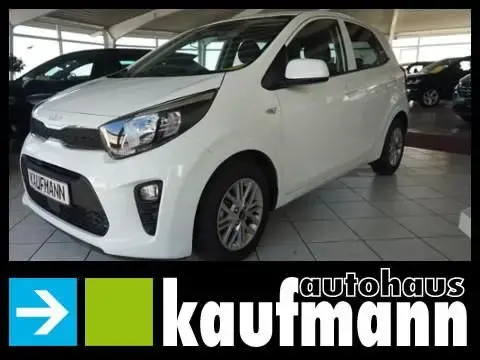 Used KIA PICANTO Petrol 2023 Ad 