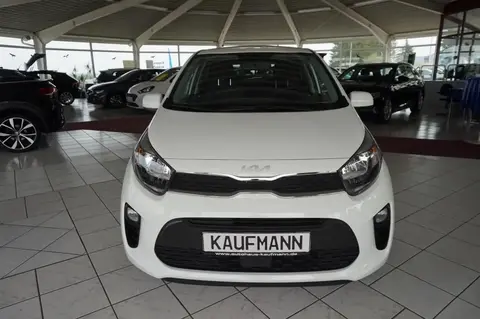 Used KIA PICANTO Petrol 2023 Ad 