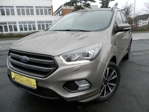 Annonce FORD KUGA Essence 2019 d'occasion 