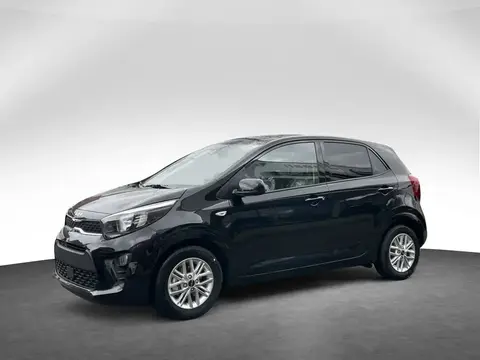 Used KIA PICANTO Petrol 2024 Ad 