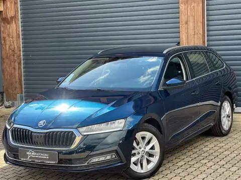 Annonce SKODA OCTAVIA Diesel 2020 d'occasion 