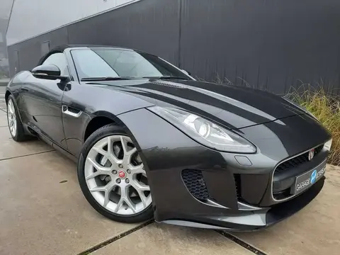 Used JAGUAR F-TYPE Petrol 2015 Ad 