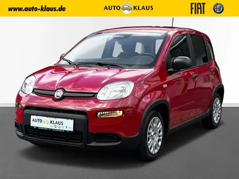 Annonce FIAT PANDA Hybride 2024 d'occasion 