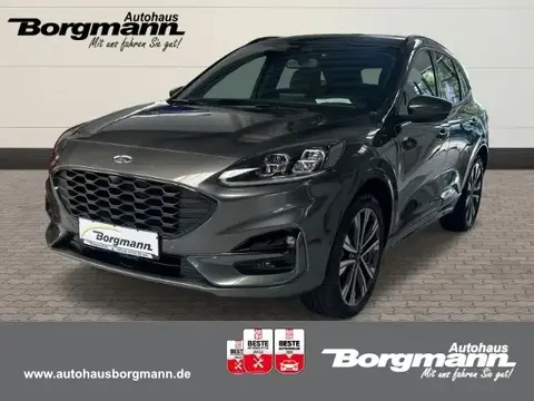 Used FORD KUGA Hybrid 2022 Ad 