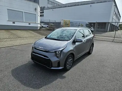 Annonce KIA PICANTO Essence 2024 d'occasion 