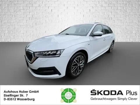 Annonce SKODA OCTAVIA Diesel 2021 d'occasion 