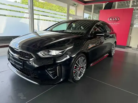 Used KIA PROCEED Petrol 2019 Ad 