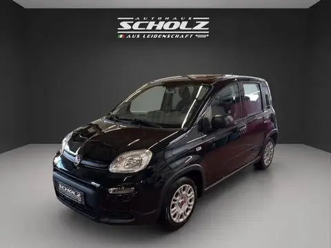 Used FIAT PANDA Petrol 2024 Ad 