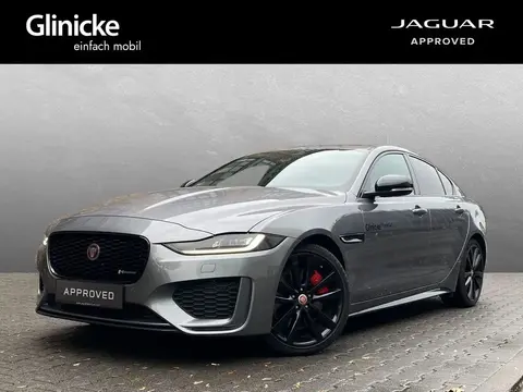 Used JAGUAR XE Diesel 2023 Ad 