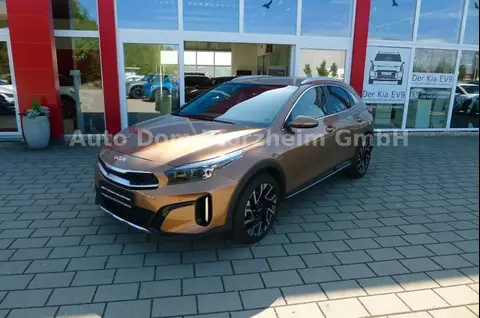 Annonce KIA XCEED Diesel 2023 d'occasion 