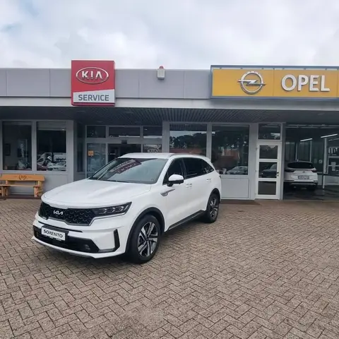 Annonce KIA SORENTO Diesel 2023 d'occasion 