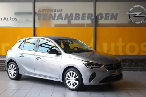 Annonce OPEL CORSA Essence 2020 d'occasion 