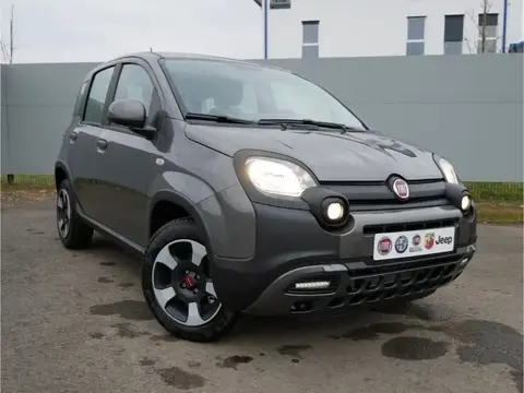 Used FIAT PANDA Hybrid 2024 Ad 