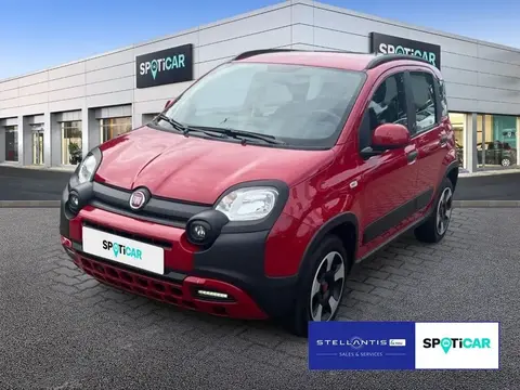 Used FIAT PANDA Petrol 2023 Ad 