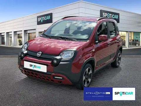 Used FIAT PANDA Petrol 2023 Ad 