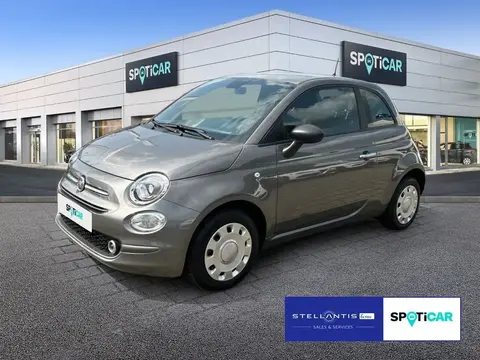 Used FIAT 500 Petrol 2023 Ad 