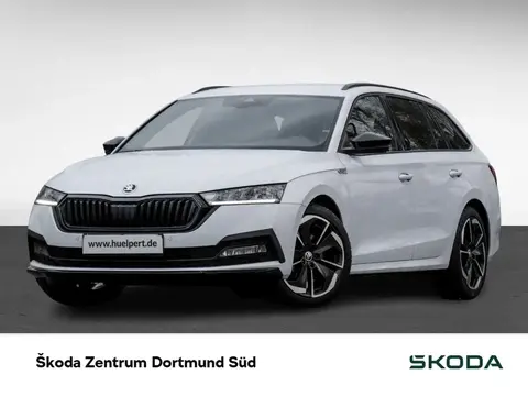 Annonce SKODA OCTAVIA Essence 2024 d'occasion 