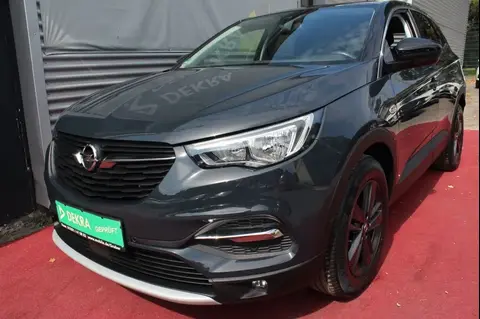 Used OPEL GRANDLAND Petrol 2019 Ad 