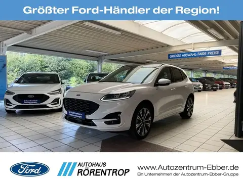 Used FORD KUGA Hybrid 2022 Ad 