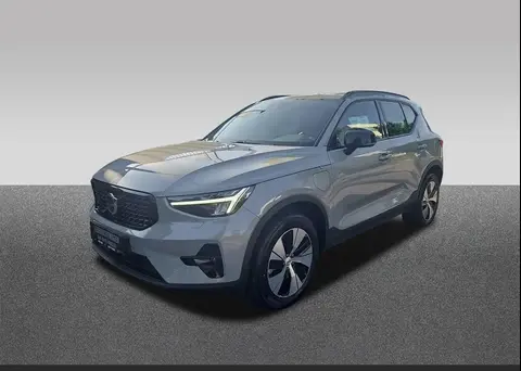 Used VOLVO XC40 Hybrid 2023 Ad 