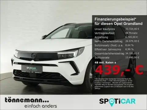 Used OPEL GRANDLAND Hybrid 2023 Ad 