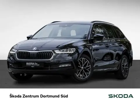 Annonce SKODA OCTAVIA Essence 2024 d'occasion 