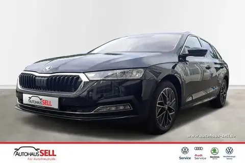 Used SKODA OCTAVIA Diesel 2023 Ad 