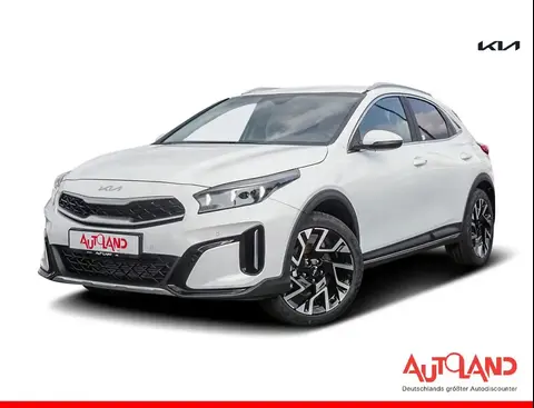 Annonce KIA XCEED Essence 2024 d'occasion 