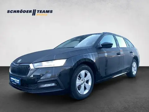 Annonce SKODA OCTAVIA Essence 2023 d'occasion 