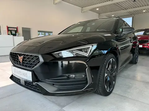 Used CUPRA LEON Petrol 2023 Ad 