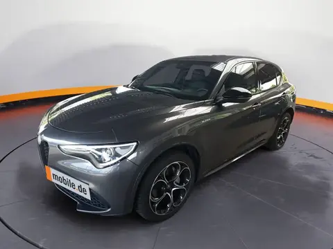 Annonce ALFA ROMEO STELVIO Essence 2022 d'occasion 