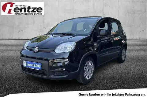 Annonce FIAT PANDA Essence 2024 d'occasion 