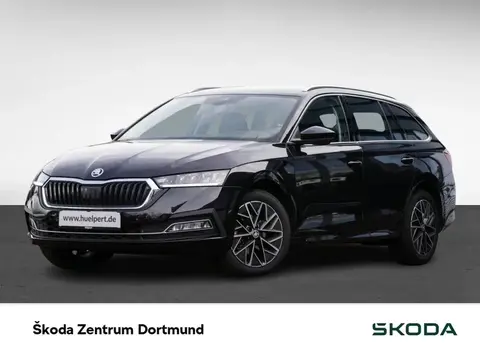 Annonce SKODA OCTAVIA Diesel 2024 d'occasion 