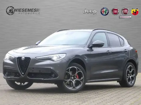 Annonce ALFA ROMEO STELVIO Diesel 2019 d'occasion 