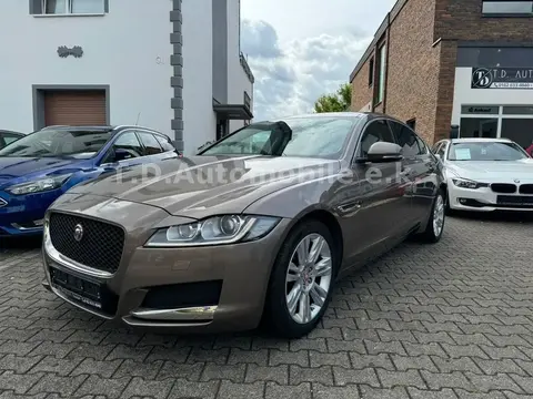 Annonce JAGUAR XF Diesel 2015 d'occasion 