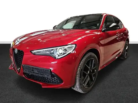 Annonce ALFA ROMEO STELVIO Essence 2023 d'occasion 