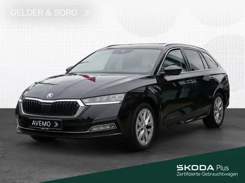 Used SKODA OCTAVIA Petrol 2024 Ad 