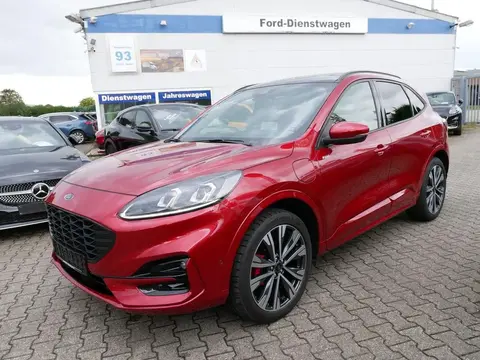 Annonce FORD KUGA Hybride 2023 d'occasion 