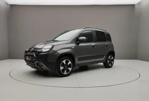 Used FIAT PANDA  2023 Ad 