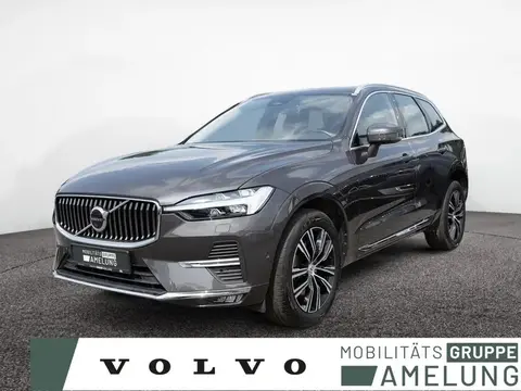 Annonce VOLVO XC60 Diesel 2022 d'occasion 