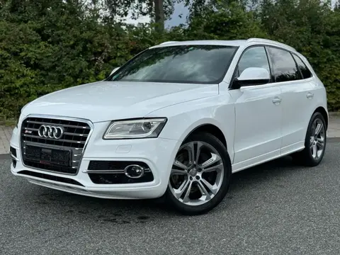 Used AUDI SQ5 Diesel 2015 Ad 