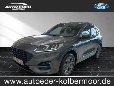 Annonce FORD KUGA Hybride 2023 d'occasion 