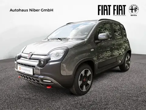 Annonce FIAT PANDA Essence 2024 d'occasion 